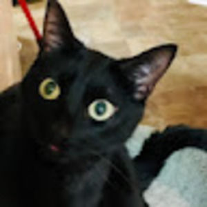 Meet your Posher, Gena